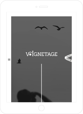 vignetage, responsive website